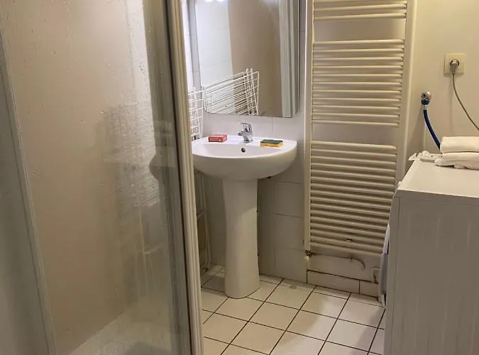 Loft Duplex De Charme 8 P Plein Centre *